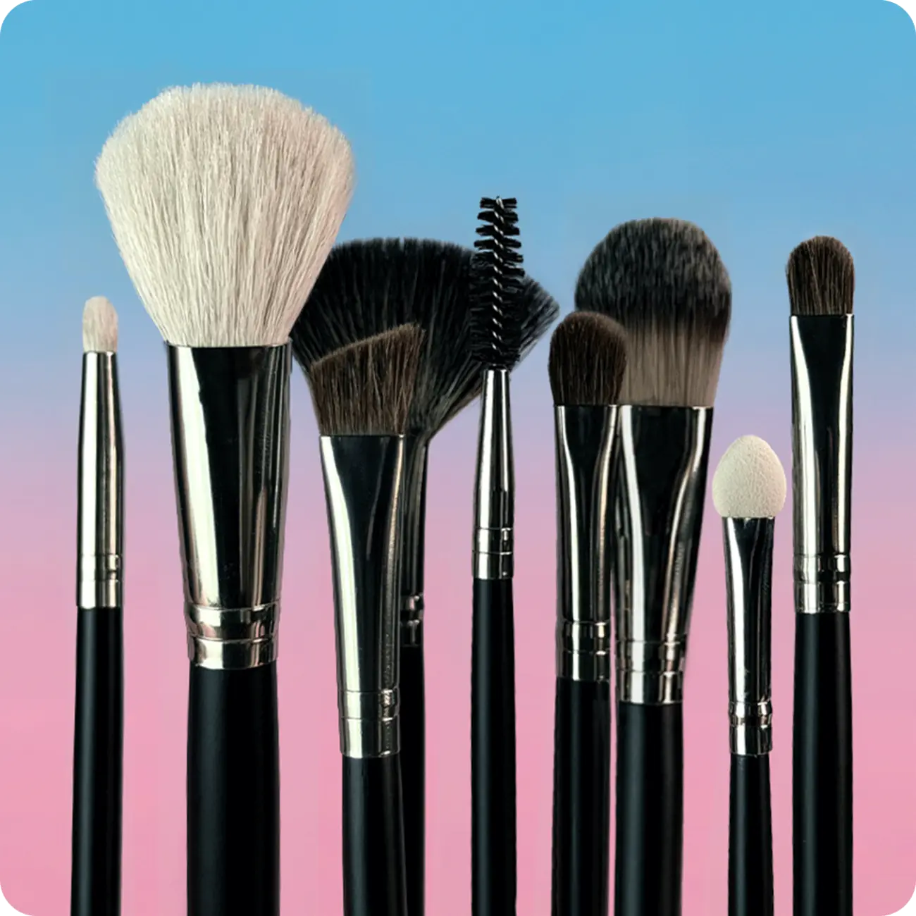 Collection of Sassi makeup brushes on a blue and pink background